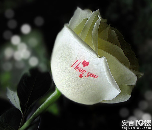 安吉<em>结婚</em>要给<em>女方买什么</em>~-安吉草根潭-安吉19