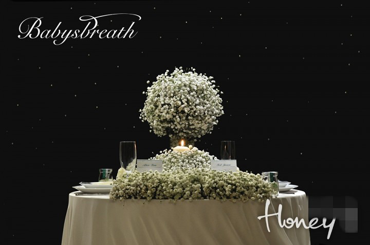 满天星主题婚礼,谁说便宜花材不能超美超浪漫