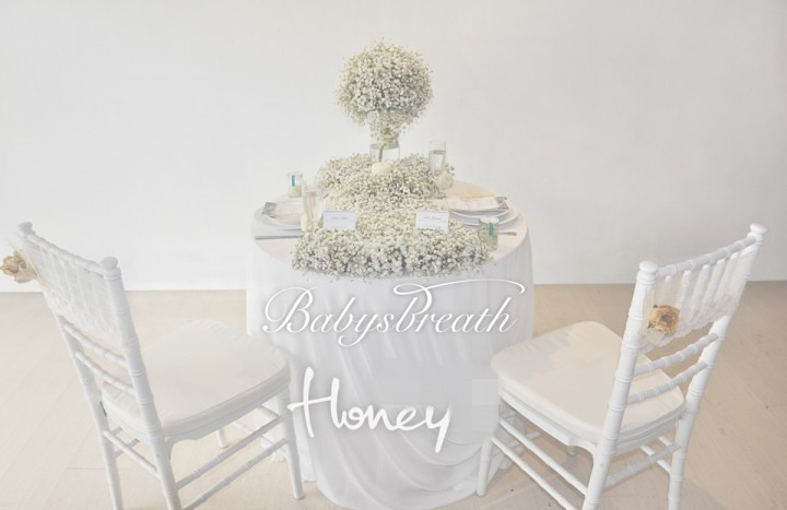 满天星主题婚礼,谁说便宜花材不能超美超浪漫