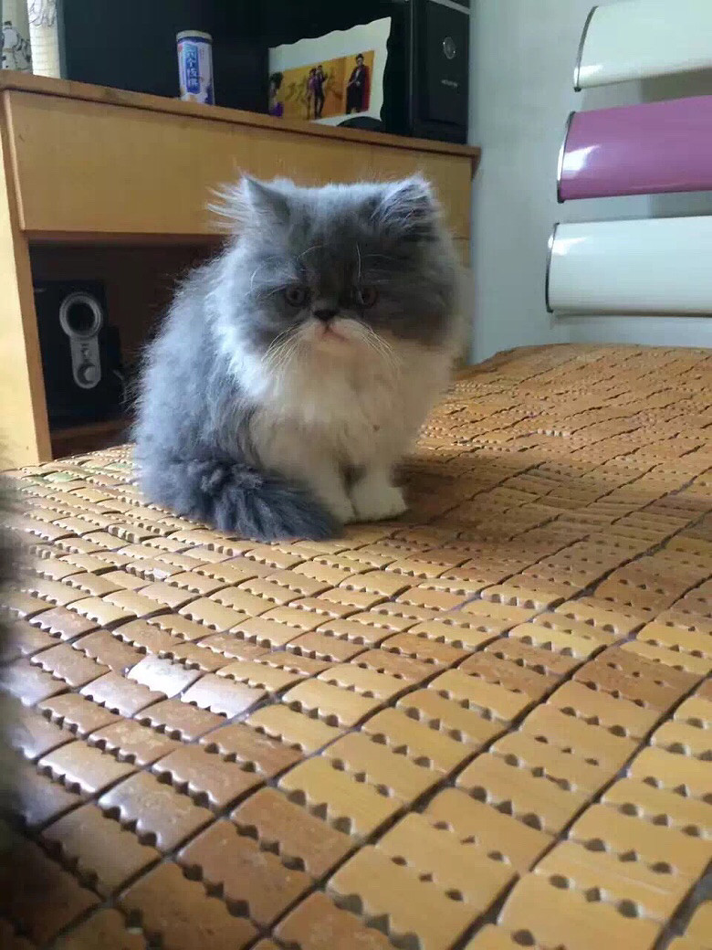 �Լ����ӷƳ���