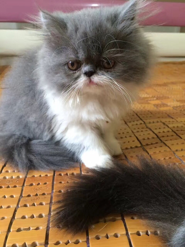 �Լ����ӷƳ���