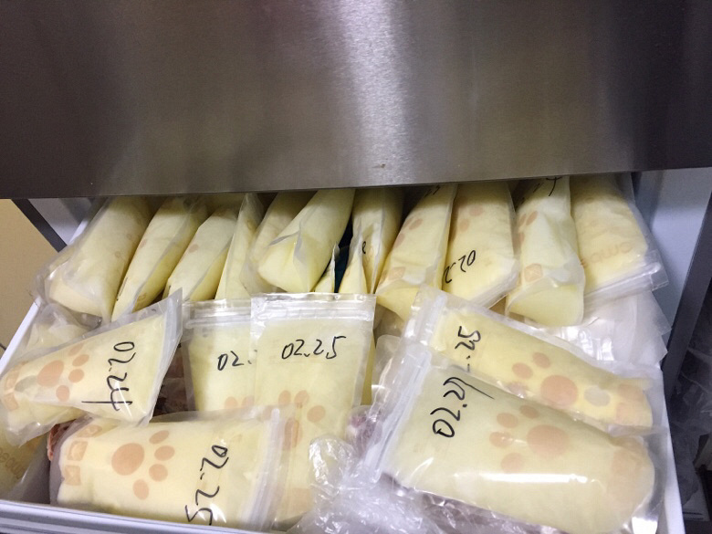 ĸ�飡����