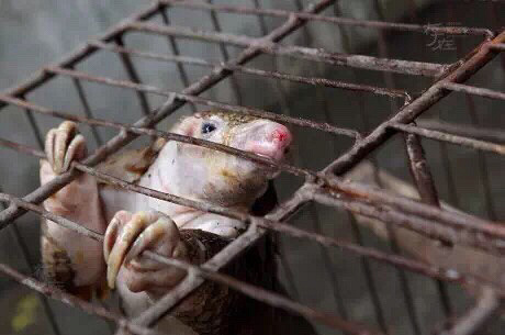 ���������ĺ����裬���̲���Ҫ������