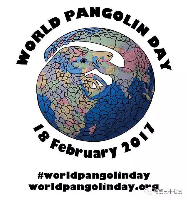 ���������ĺ����裬���̲���Ҫ������