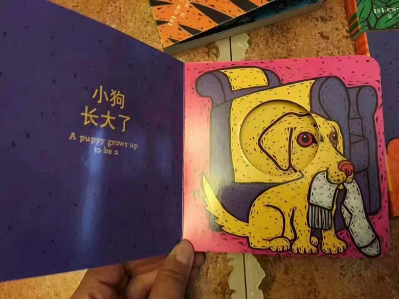 �²�����˭��ר����С�����Ķ�èè�飡����