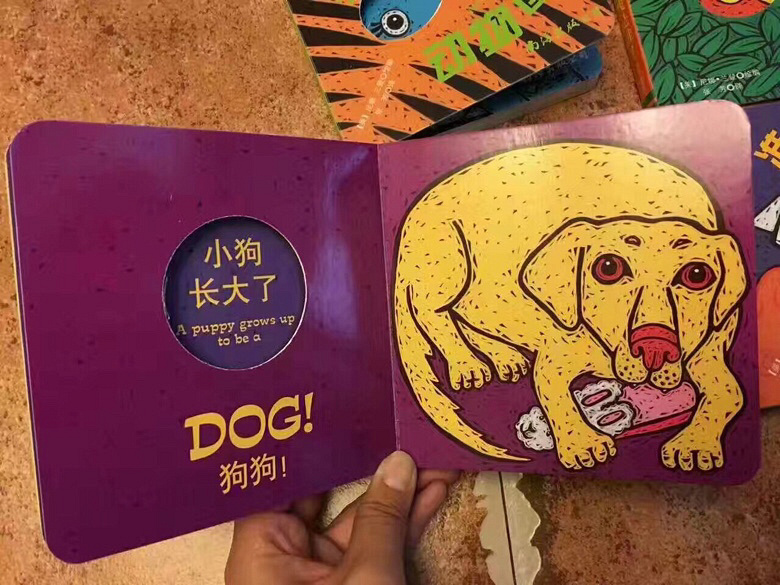 �²�����˭��ר����С�����Ķ�èè�飡����