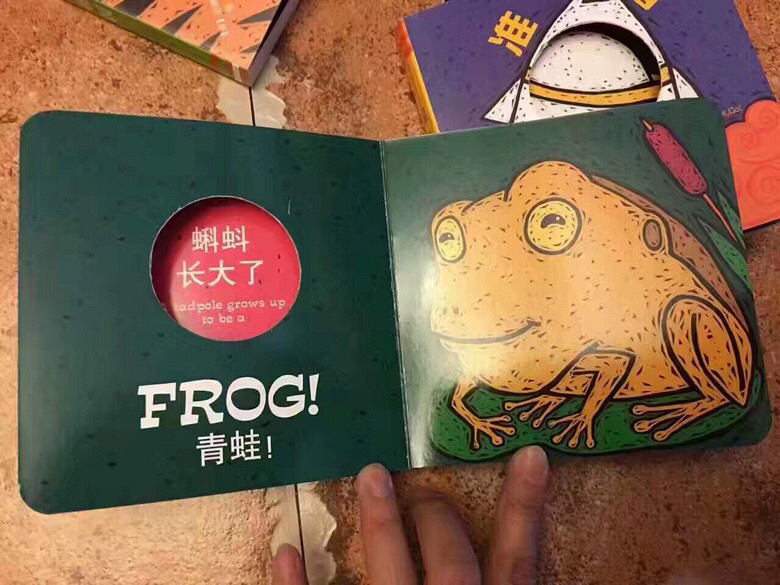 �²�����˭��ר����С�����Ķ�èè�飡����