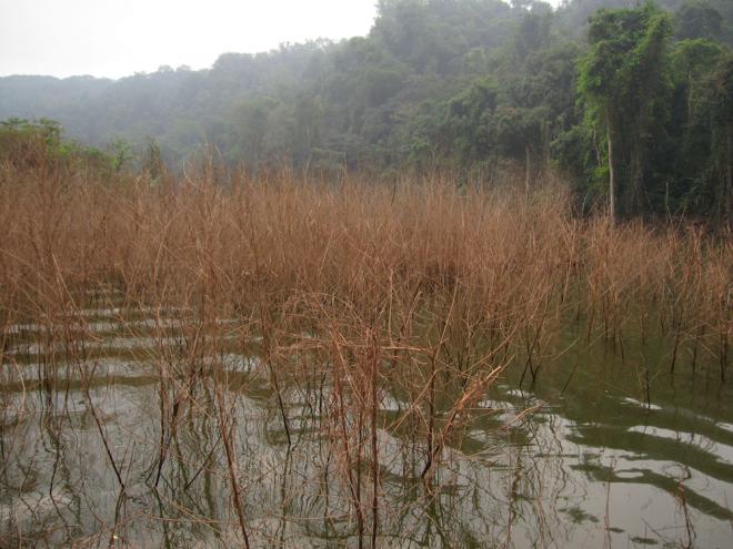 <em>老挝边境</em>,缅甸妹妹