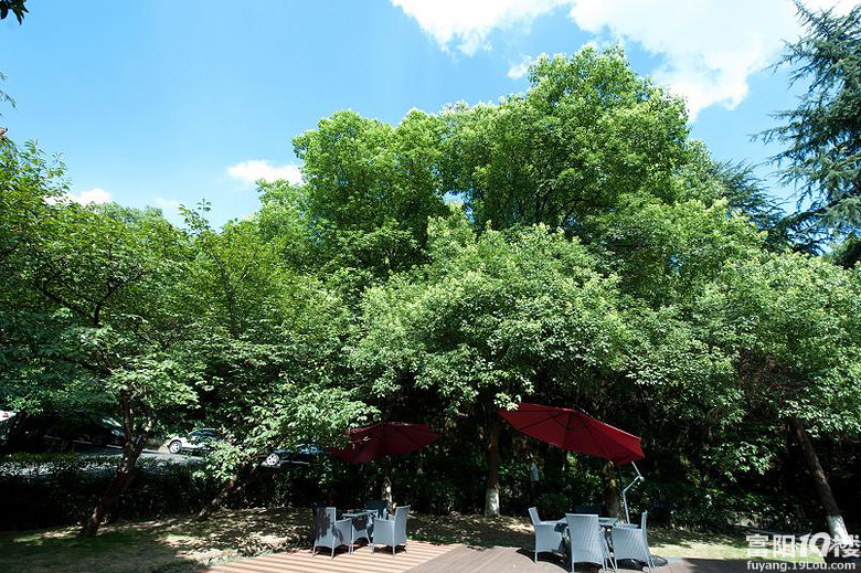 富阳景上餐饮管理有限公司招聘-前厅服务主管