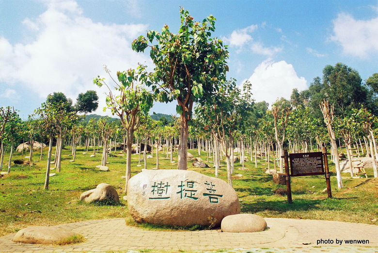 ttttt-测试用版块-杭州19楼