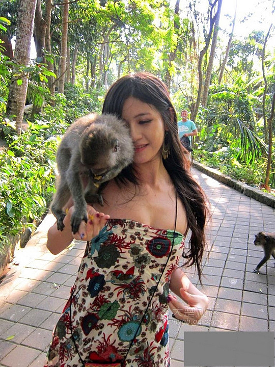 美女陈维芊在景区遭猴子扒衣袭胸-养眼搞笑-杭