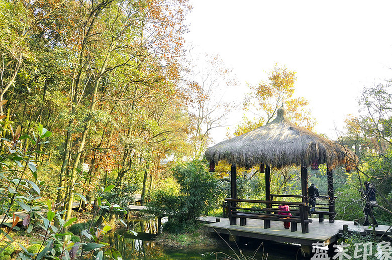 12.17日在杭州半山虎山公园内逛着拍拍-19摄区