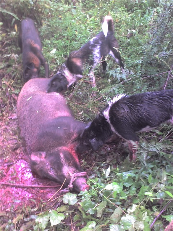 甘洛县田坝镇-拨了我就灵110-杭州19楼