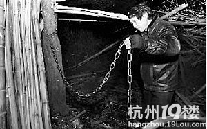 8岁女童独自在家时被自家狼狗咬死(图)-转贴之