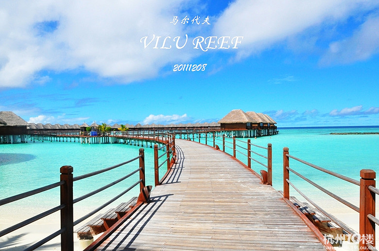 只为这片海--VILU REEF美露丽芙岛甜蜜归来(攻