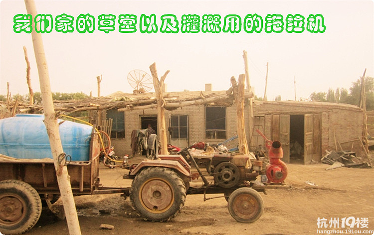 农场主女儿果园价出新疆和田枣纸皮核桃-闲置