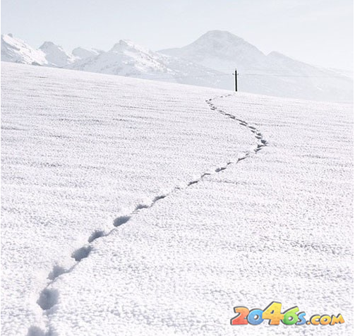 雪下的那么认真,爱的那么深~陪我在一起-养眼
