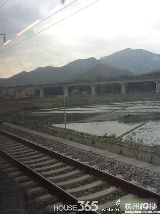 惊人!动车又撞人了 造成一男子身亡(图)-讨论-拉