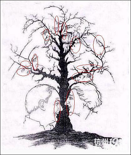 【看图测智商】12张人头以上的绝对是聪明绝