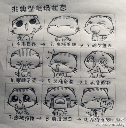 快期末考试了,大家来晒晒考试状态吧!总有一款