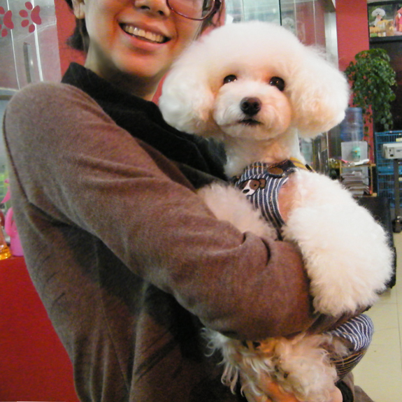 小霞的店,关于火龙果宠吧、关于寄养、美容。