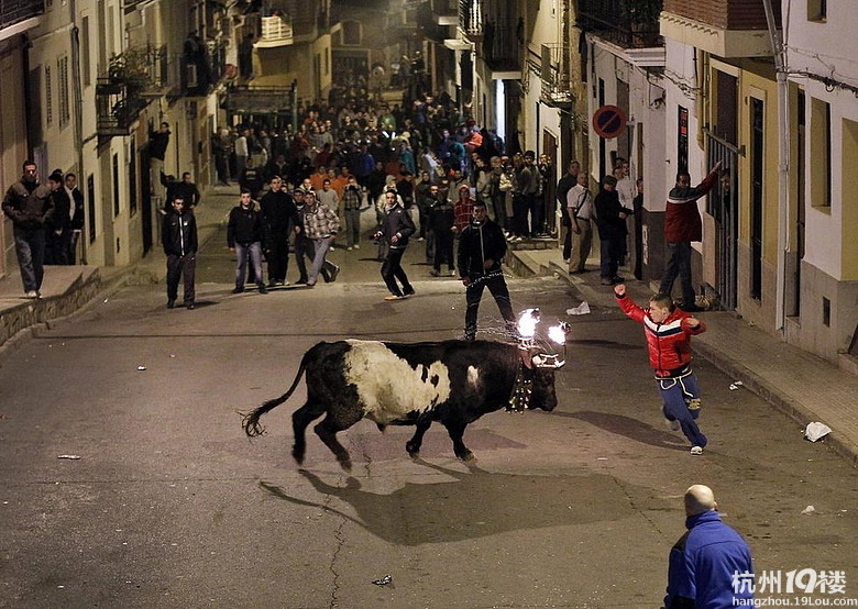 西班牙传统节日上演惊险牛角点火(高清组图)-转