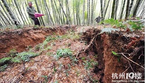 浙江金华安地v别墅别墅断行山体现已滑坡(图)-二手武威道路图片