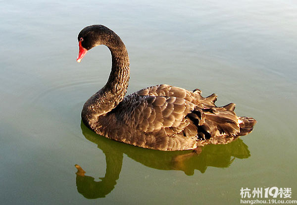 【1隊(duì)】KT的2012年1月FB--年前廈門游[1貼-2012-1]