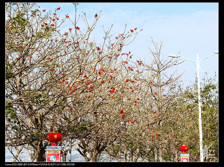 【牙牙你看】春节登湄洲岛拜妈祖庙-外拍活动