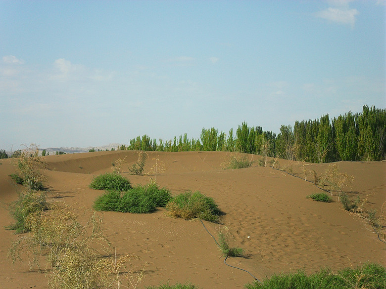 新疆鄯善沙漠公园-边走边拍-杭州19楼