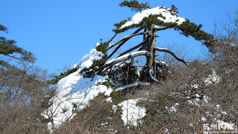 好冷啊~ 红太郎回家过年+自驾游黄山!-英朗车友