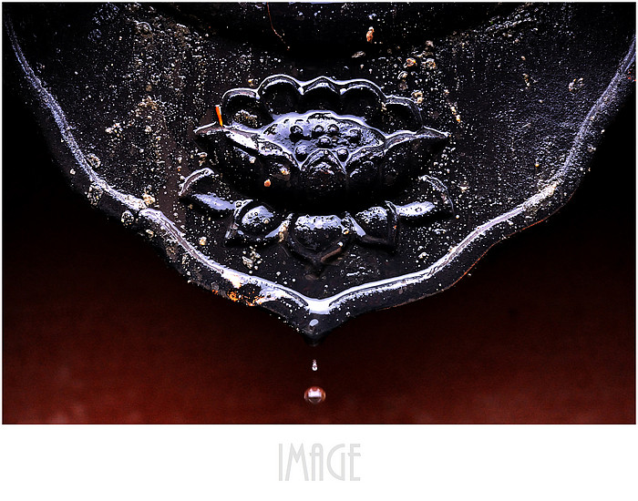 二月初一的法喜寺,随拍一组-19摄区-杭州19楼