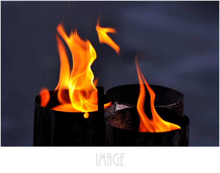 二月初一的法喜寺,随拍一组-19摄区-杭州19楼