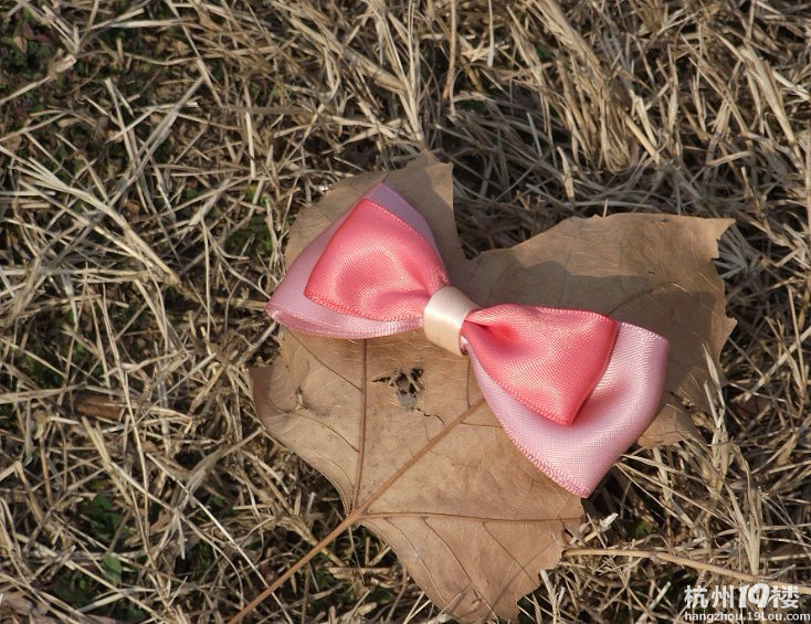 DIY蝴蝶结发卡 兴趣之作