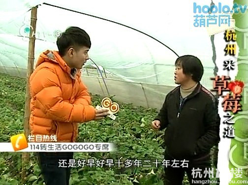 杭州电视台3台生活频道生活gogogo节目播放的