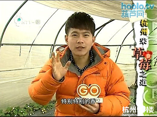 杭州电视台3台生活频道生活gogogo节目播放的