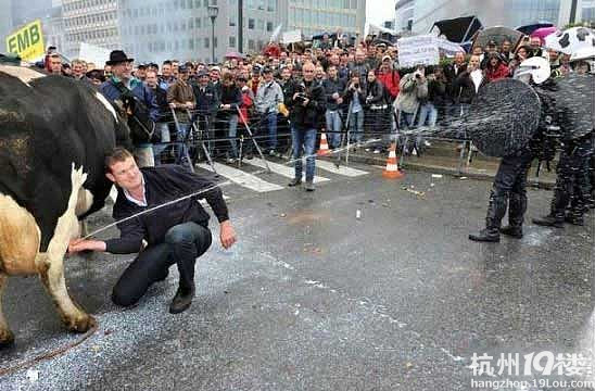 【爆笑堂】我就是小兔子,把你的<em>牙牙</em>露出来哦