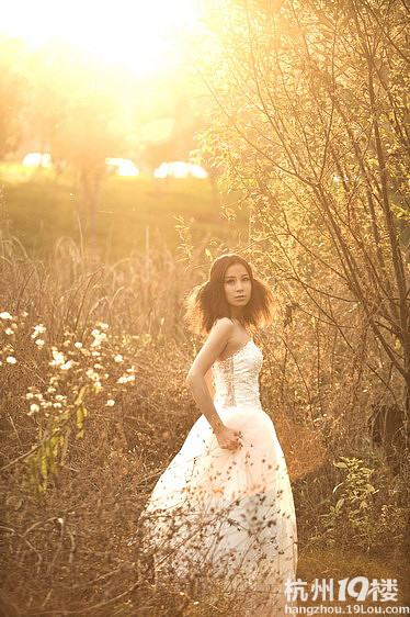 粉爱粉爱你。-我要结婚-杭州19楼