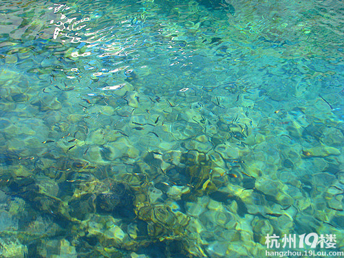 意大利西西里游玩美景---和美食的攻略攻略美图pixelcraft最爱图片