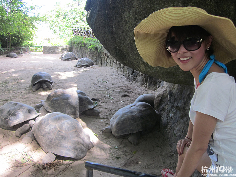 塞舌尔游玩攻略--2012 T&Z的蜜月游---纯净海