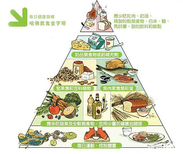 2008美国哈佛医学院的食物金字塔-饮食养生