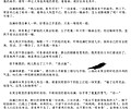 火凰(VIP穿越架空,男强,<em>女强</em>,一女N男,搞笑)完结