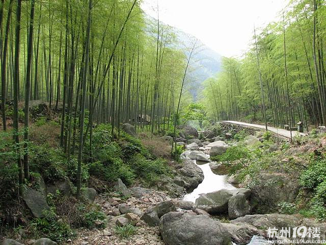杭州西湖区,临安天目山风景区 出售-杭州二手房