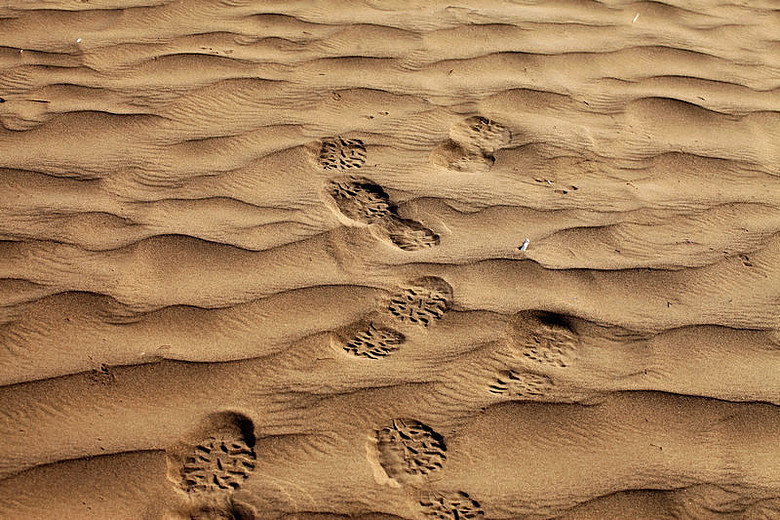 塔克拉玛干大沙漠--中国最大的沙漠-边走边拍-