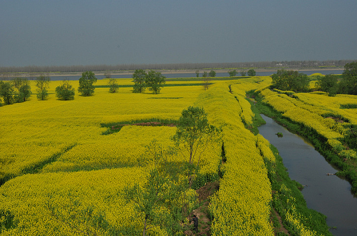 江西彭泽县棉船镇30000亩油菜花竞相绽放-风
