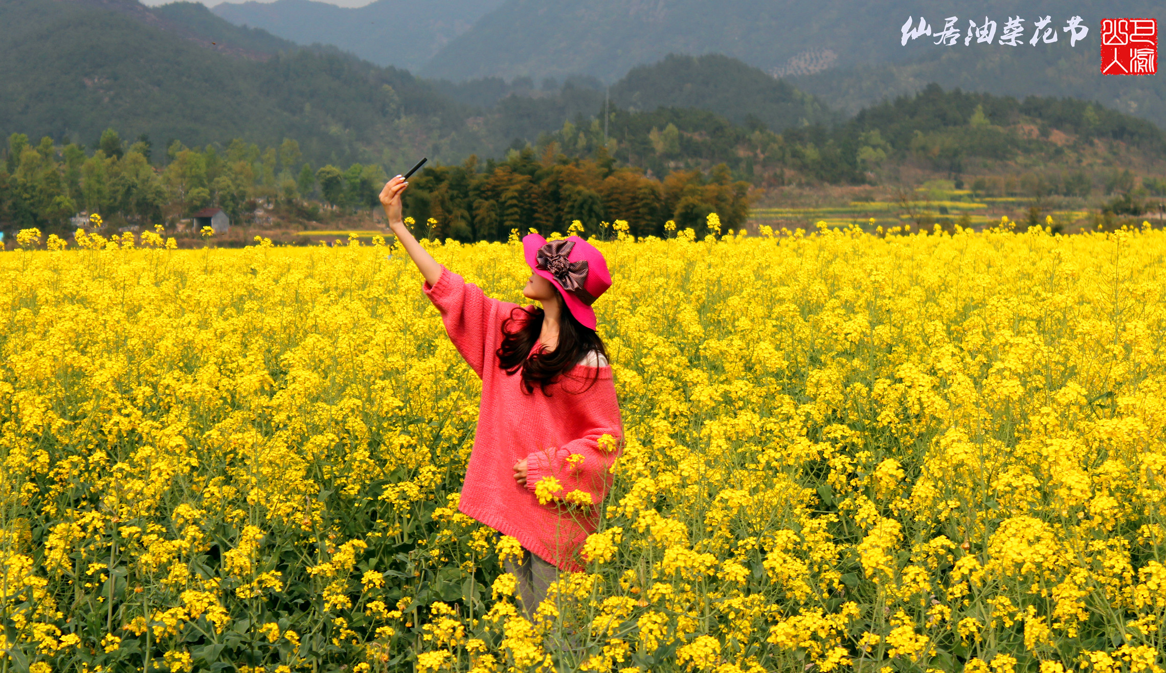 仙居油菜花节-19摄区-杭州19楼