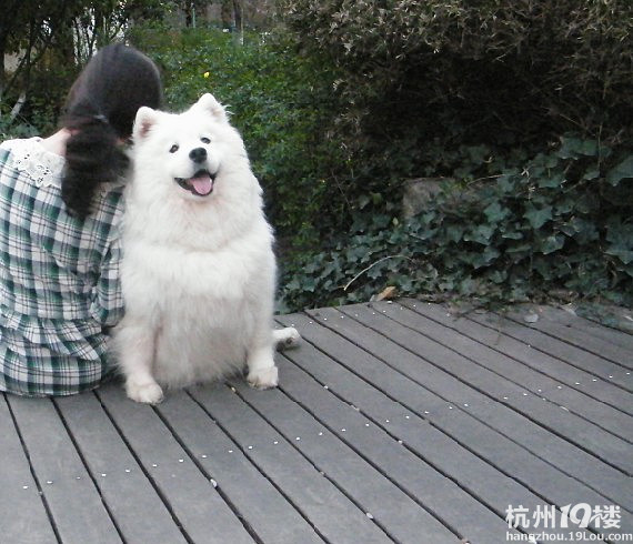 生产之前给大肚子留个念,希望所有的宝宝都能