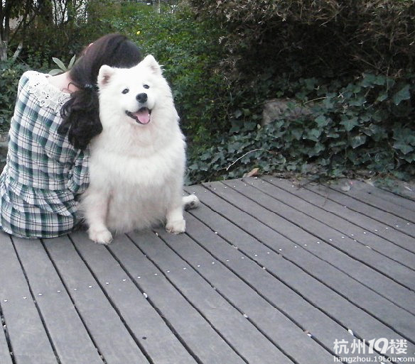 生产之前给大肚子留个念,希望所有的宝宝都能