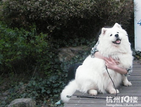 生产之前给大肚子留个念,希望所有的宝宝都能