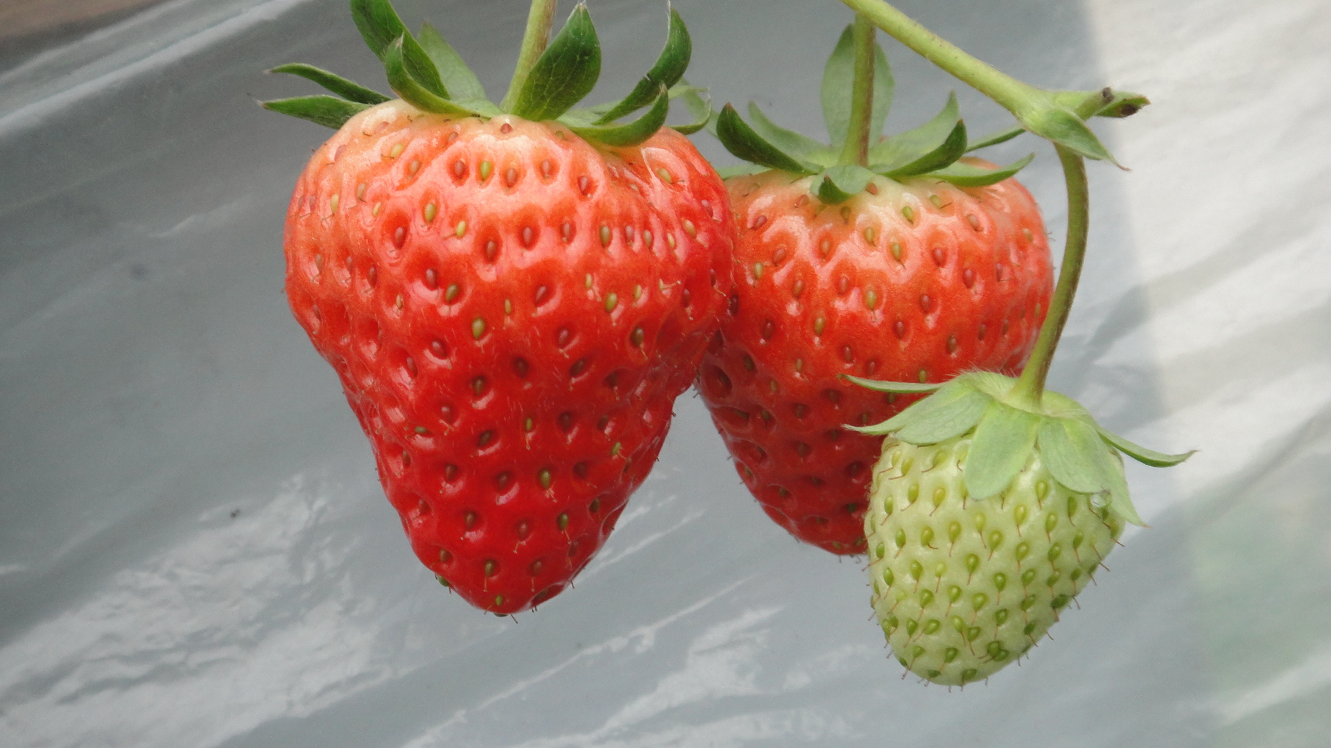 <em>女性</em>阅读-杭州<em>19楼</em>